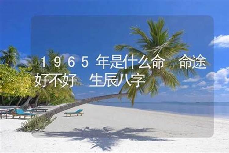 65年蛇是什么命 五行属什么