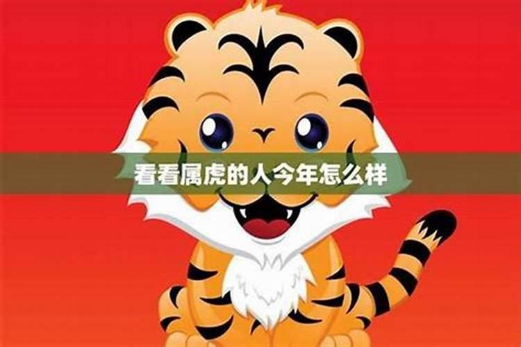 2025属龙的犯太岁吗