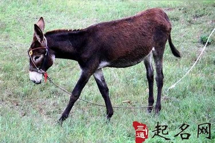 梦见朋友不和我打招呼的预兆