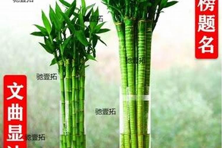 有助文昌的十大吉祥物是什么文昌位以什么为准