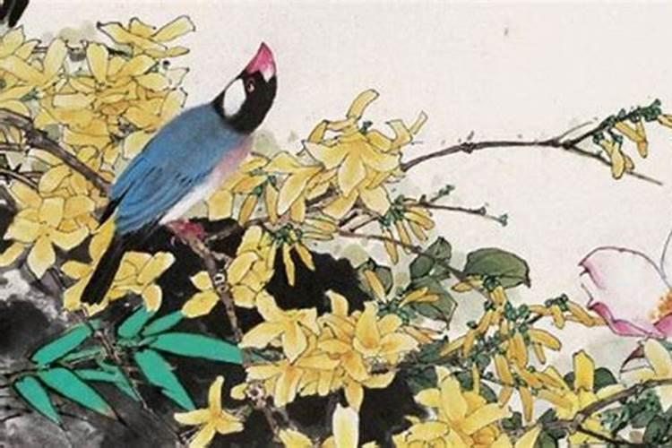 鼠和狗婚姻,八字合吗？男属鼠,女属狗,