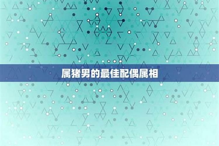 属猪男的最佳婚配属相