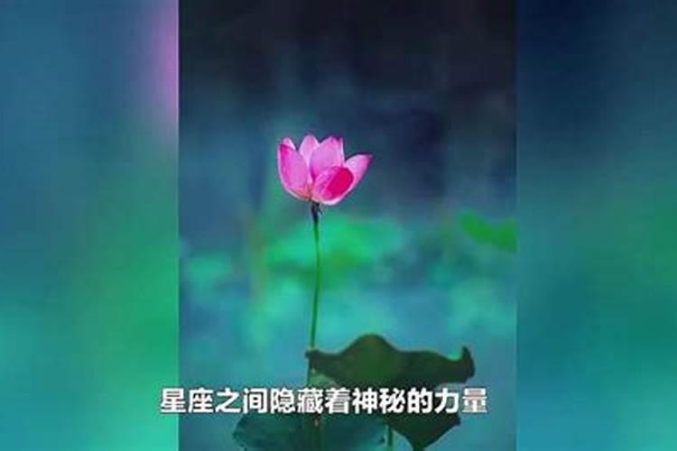 经常做梦梦到蛇是怎么回事 老是做梦梦到蛇什么意思