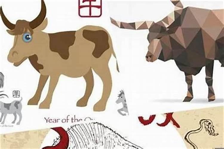 79女属羊85男属牛我们可以在一起吗？