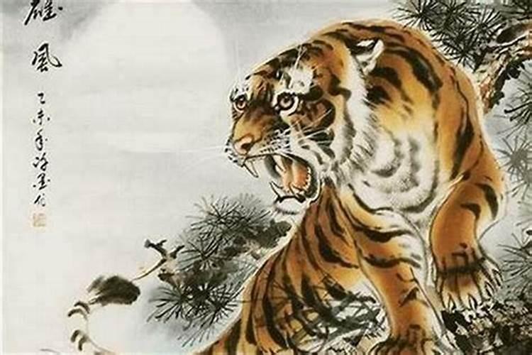 属虎重阳节女孩的命运 重阳命硬五行旺？