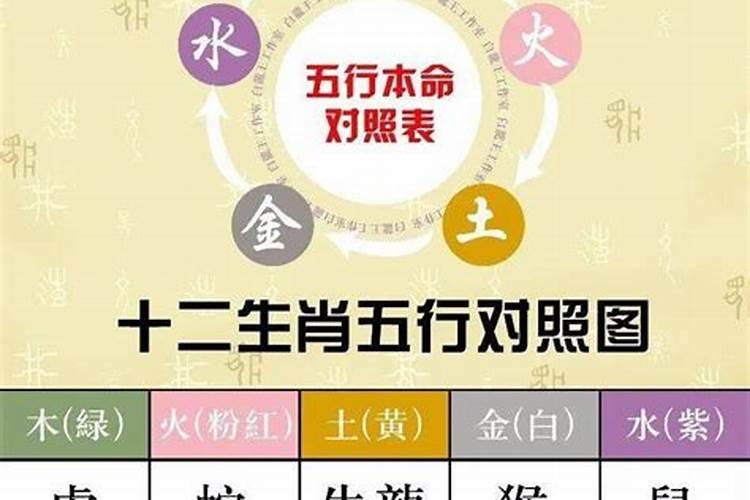 怎样看自己属金,木,水,火还是土