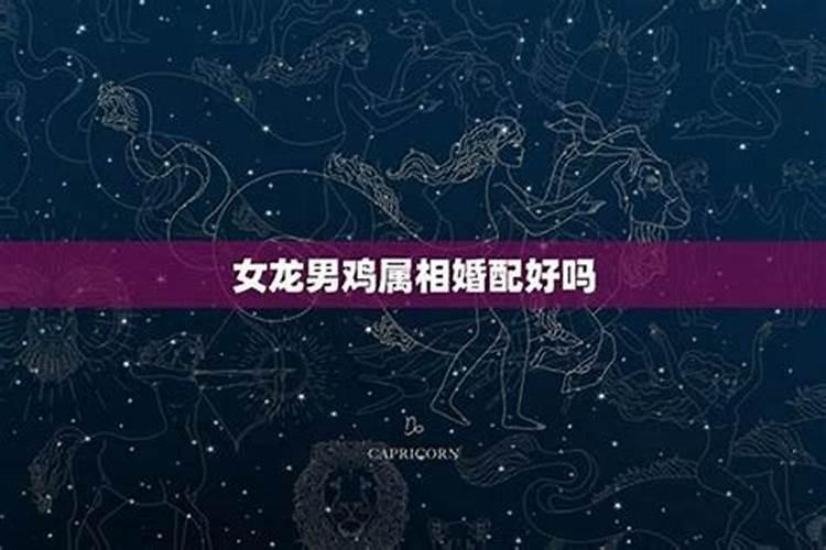 93年属鸡2025年的运势