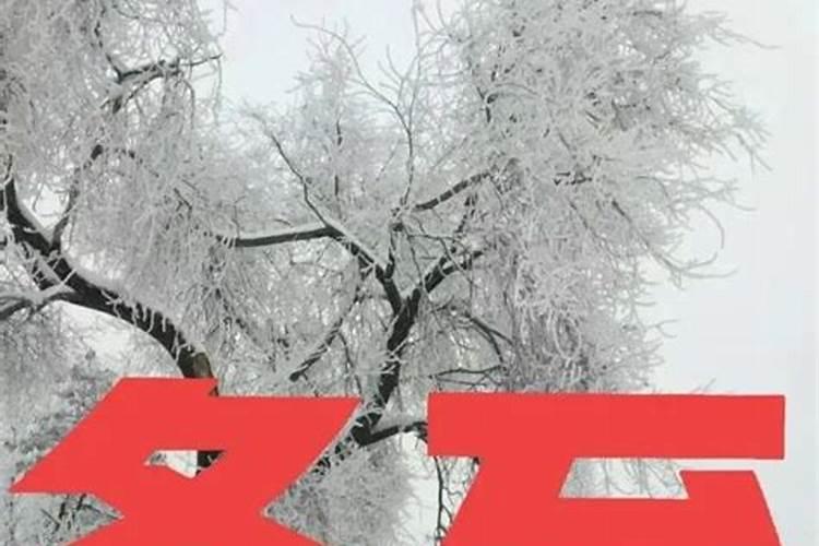 孕妇梦见两个小男孩是什么意思