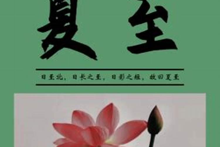 才感春来忽而夏至下一句