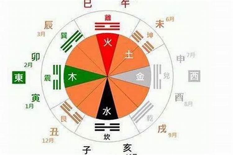 合八的生肖那几个