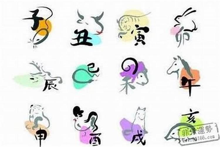 宋韶光2025年生肖运势及每月运程如何