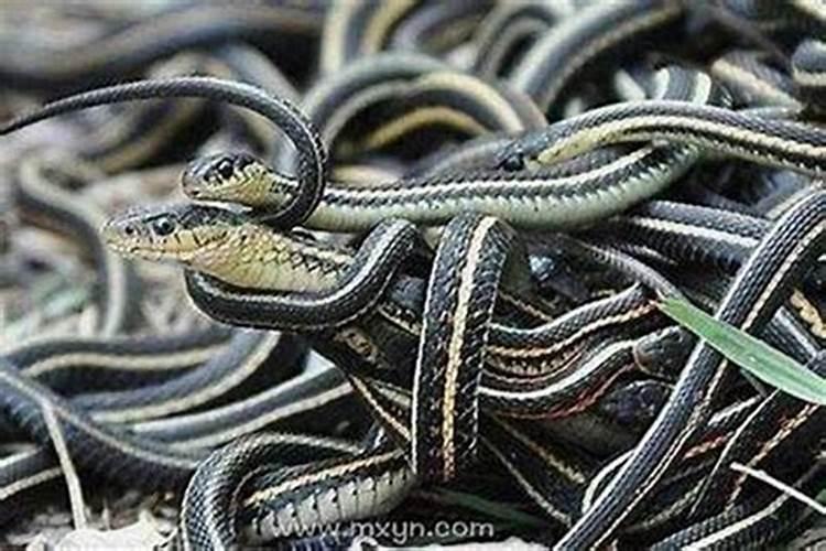 印光大师:如何得金刚经的真实利益？