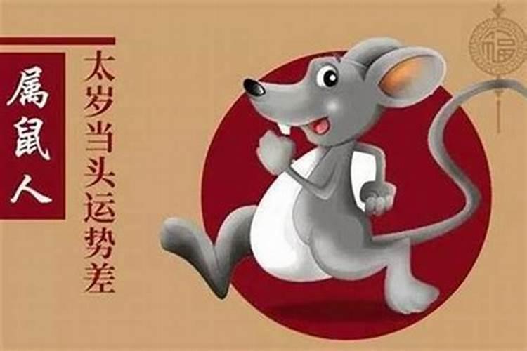 鼠和虎合财吗