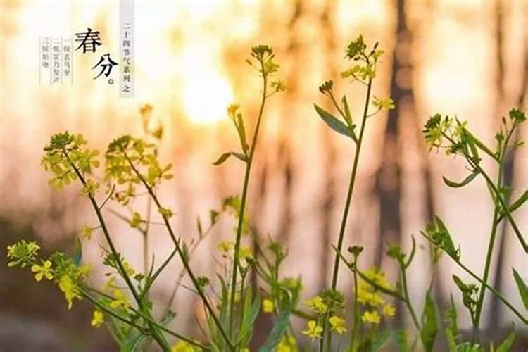 夫妻属相婚配表 最全属相婚配表？