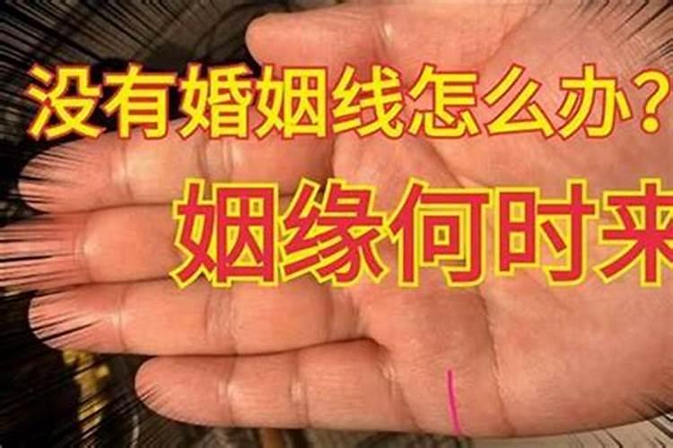 陶白白本周星座运势