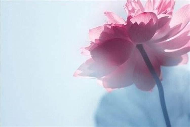 中秋节目在哪个频道播放