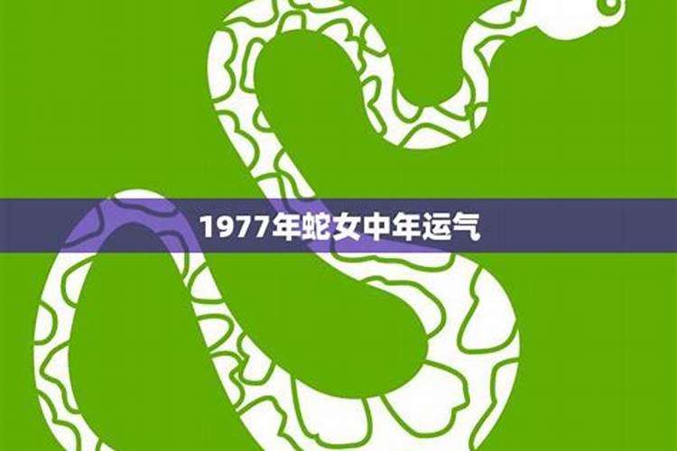 农历6月出生属鼠人命好吗