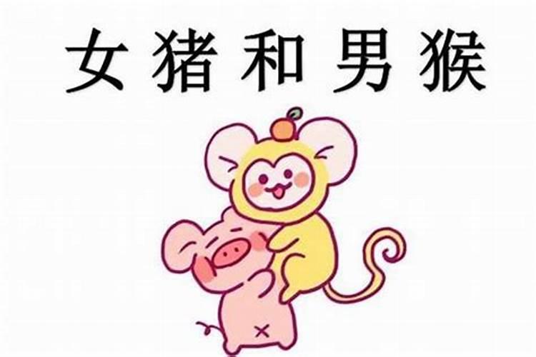 男马女猴是上等婚姻吗 如何提升婚姻幸福指数？