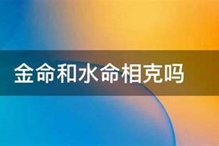 生肖男猪与生肖女虎配吗 男猪跟虎女的属相合不合