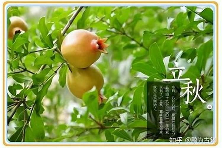 广西桂平过江口镇过春节的习俗