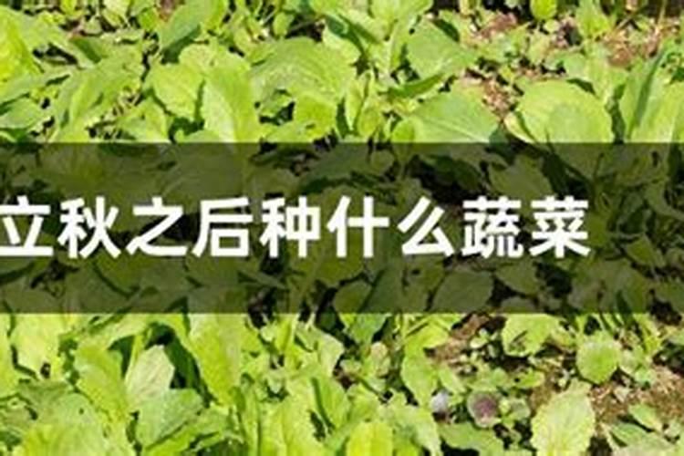 2025年1月18日是好日子吗