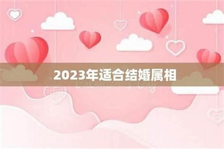 属相不合就不能成为夫妻吗？