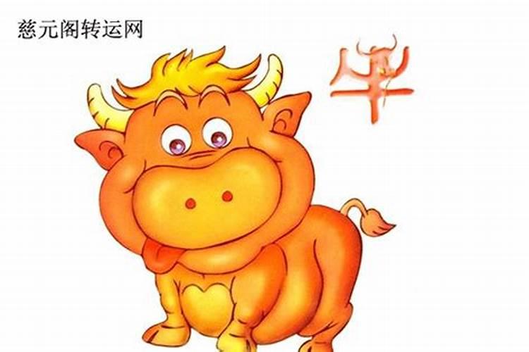 2025属虎人的全年运势如何