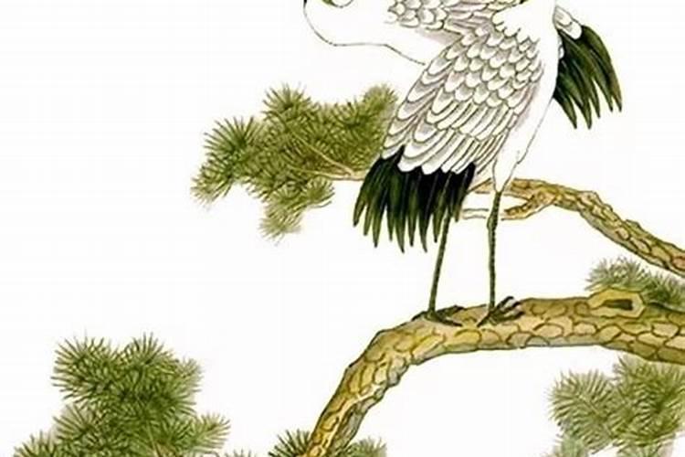 重阳节都干什么 重阳节都干哪些事情