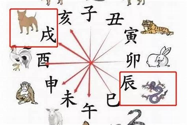 94狗跟00龙相配吗 相冲相克难以白头？
