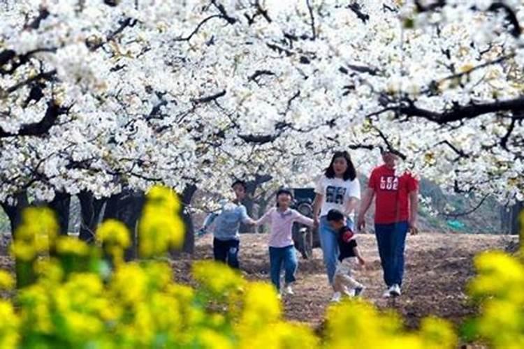 85年属牛男2025年运势和婚姻