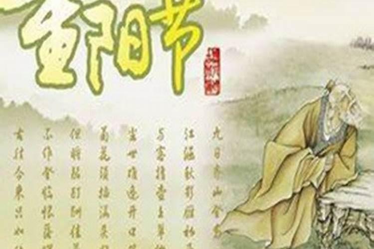 重阳节打一个动物？