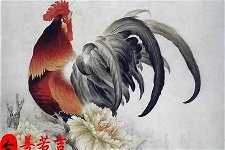 生肖鸡1993年2025年运势如何 生肖鸡1993年2025年全年运势