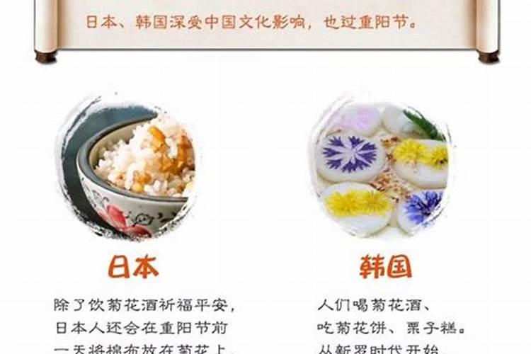 生肖猪1995年2025年运势如何 生肖猪1995年2025年全年运势
