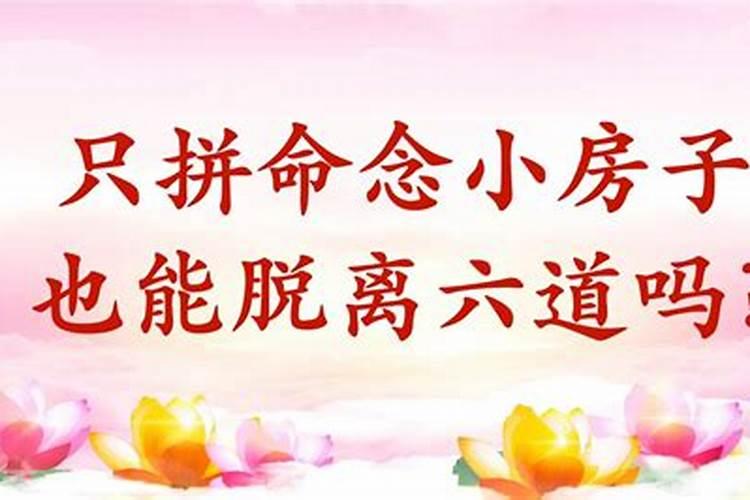 打掉了孩子要怎样回向给他呢佛教网