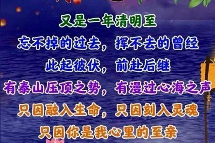 清明节不烧纸,用什么代替