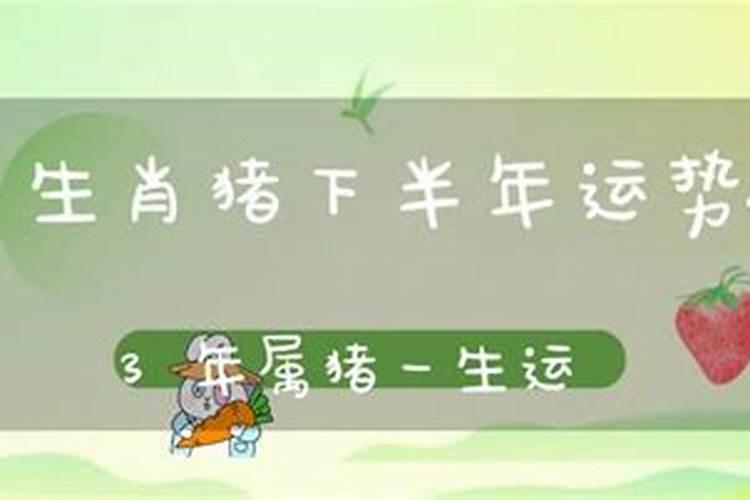 83属猪女人一生的命运婚姻,1983年农历5月24日属猪人的婚姻命运百度知 ...