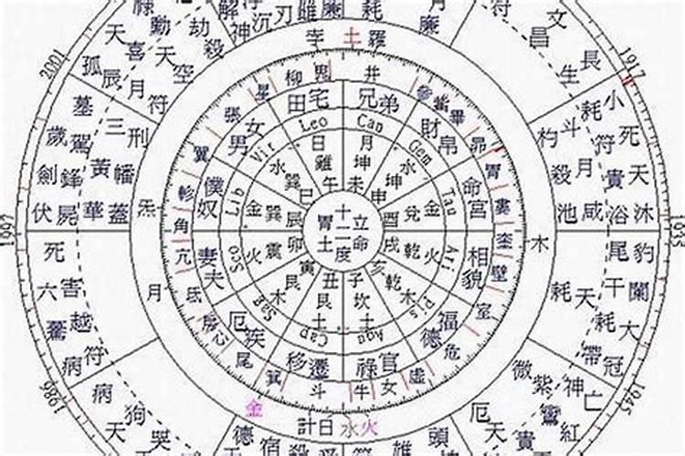 上海龙柱真的存在吗？
