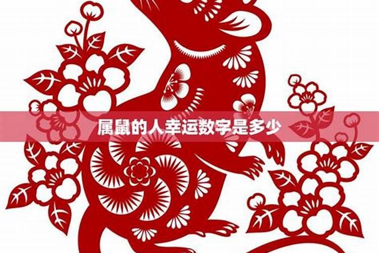 逢赌必赢 2022年赌运最旺的生肖？