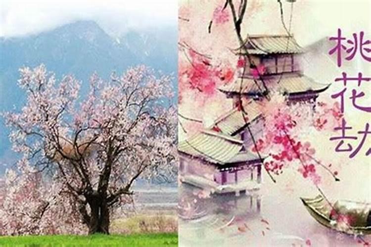 命里犯桃花是什么意思(什么叫桃花劫)