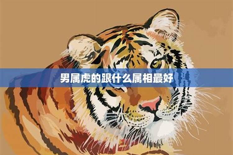 79年属羊女在2025年的运势和财运