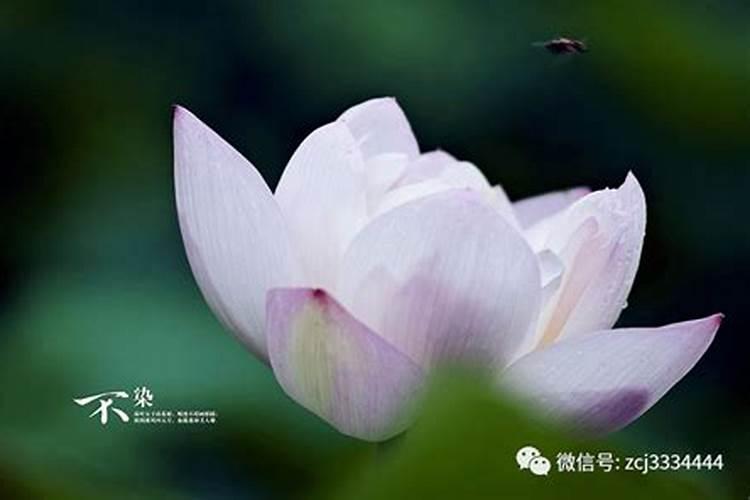 怎么补财库