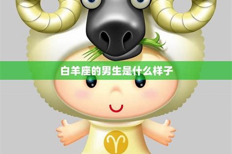 属鸡白羊座男生的性格特点