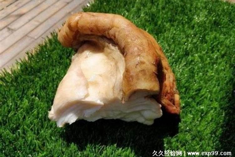 肉灵芝是什么 太岁肉灵芝是怎么形成的 生长在什么地方