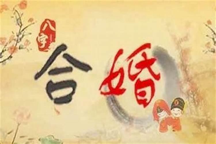 重阳节一般吃什么