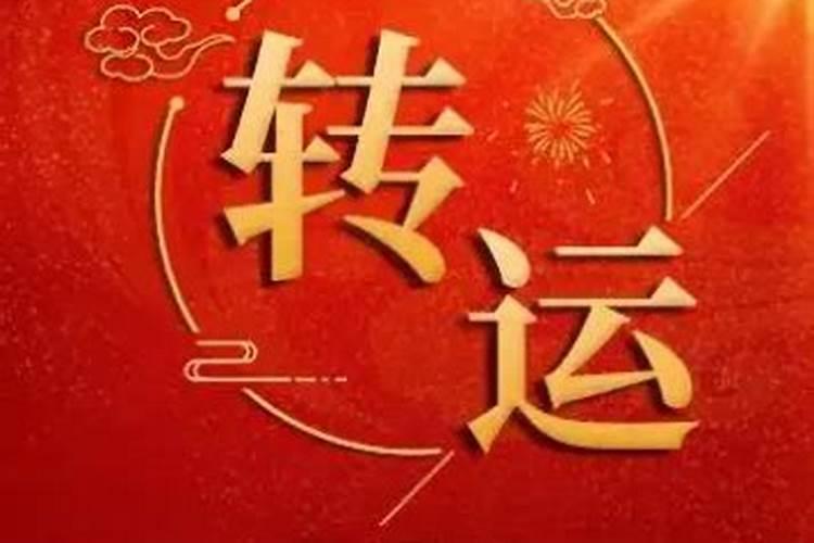 南北半球春秋分、冬夏至的太阳光照图