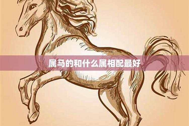 32岁属马的最佳配偶