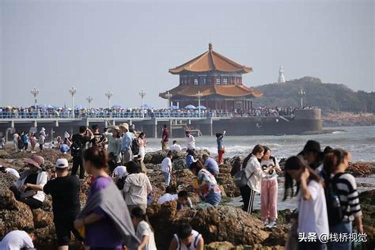 两个属狗的结婚相冲吗