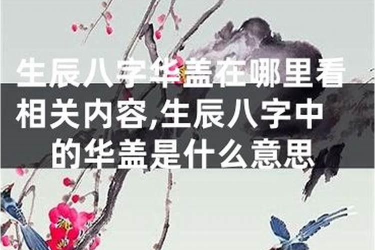 ...阴历1991年12月26日生,我的五行是什么？是属猴还是属羊？