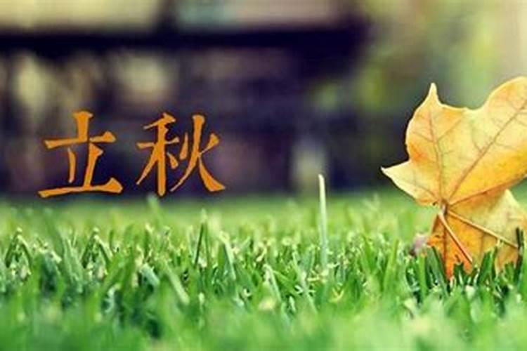 八字直断配偶属相,生辰八字能看出配偶生肖？