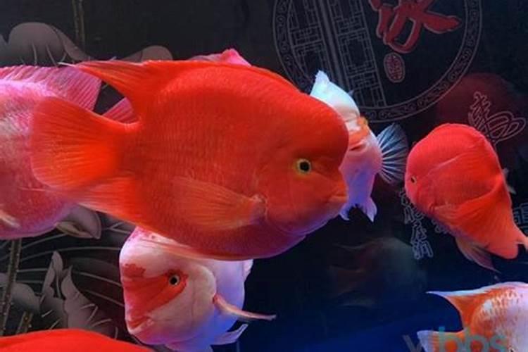 梦到下大雨自己被淋湿全身